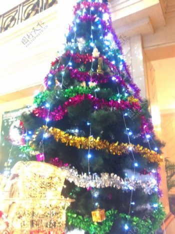七彩圣诞树图片