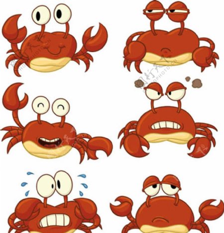 卡通螃蟹矢量图图片