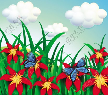 花卉花朵蝴蝶自然背景图片