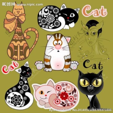 小猫猫咪宠物CAT图片