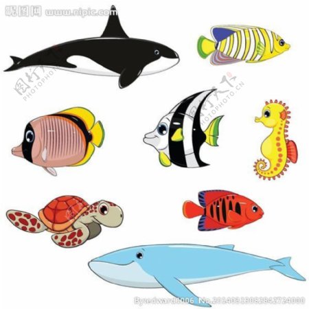 海洋生物海鱼图片