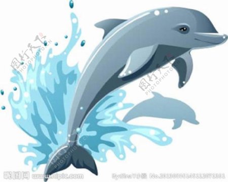 海豚矢量素材图片
