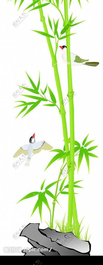 喜鹊鸣竹图片