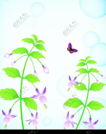 花引蝶二图片