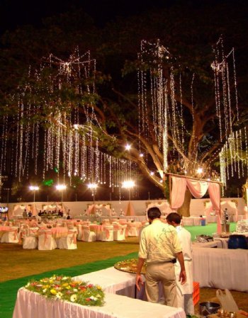 印度草坪夜间婚礼图片