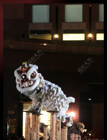 舞狮南狮中国传统文化表演艺术瑰宝节庆华人狮子liondance桩图片