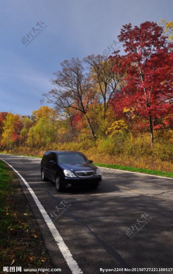 秋天的公路图片