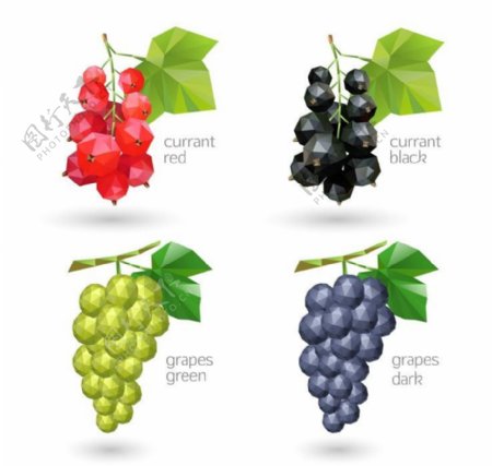 葡萄水果设计图片