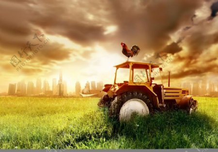 农场农业风景图片
