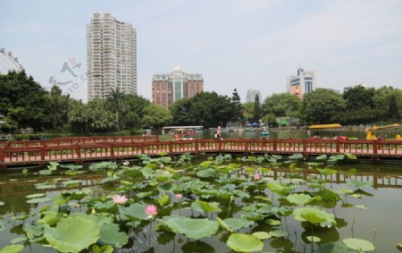 漳州九龙公园图片