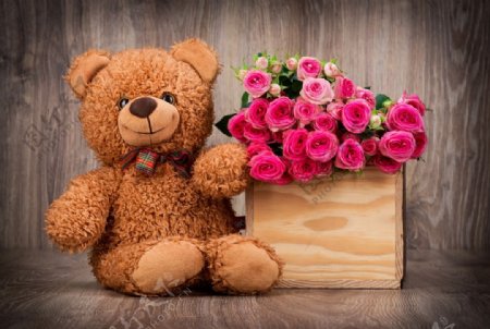 泰迪熊与玫瑰图片