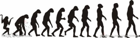 人类进化过程图片