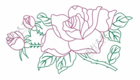 玫瑰花线条图片