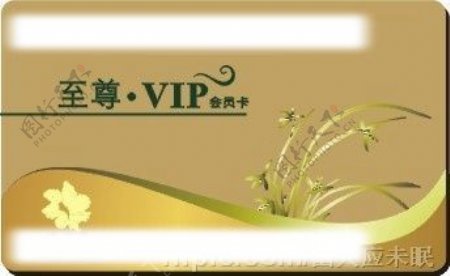 VIP会员卡图片