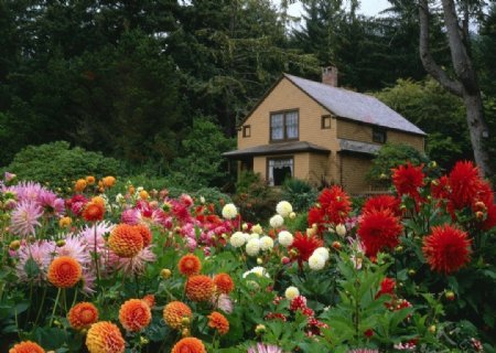 花园小屋图片