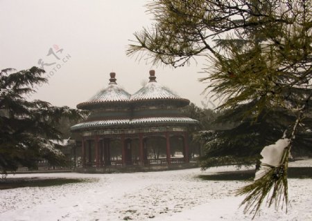 天坛冬景图片