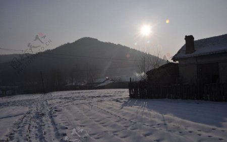 冬日清晨图片