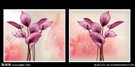 粉色马蹄莲装饰画图片