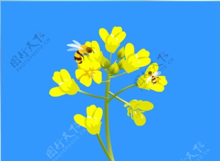 采花的蜜蜂flash动画素材