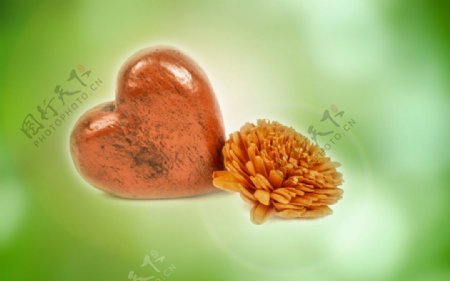 爱情石与鲜花图片