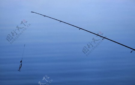 鱼竿素材下载钓鱼竿图片