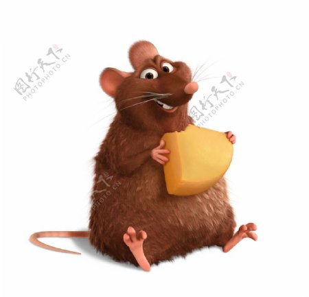 老鼠用餐图片