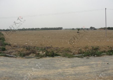 田地风景图片
