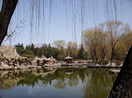 北京日坛公园图片