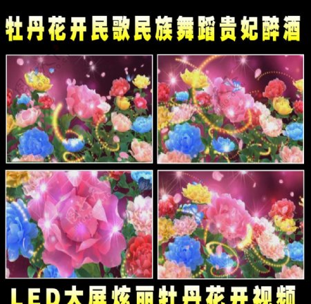 LED花朵视频