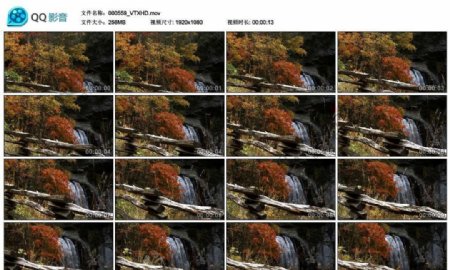 森林中的瀑布高清实拍视频素材