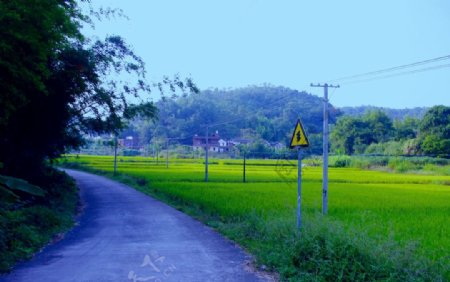 梅州梅县荷泗蕉坑民俗村落风景图片