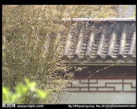 竹林屋顶视频素材