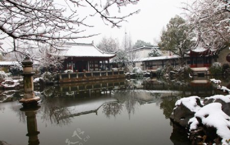 同里雪景图片