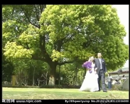 婚庆视频素材