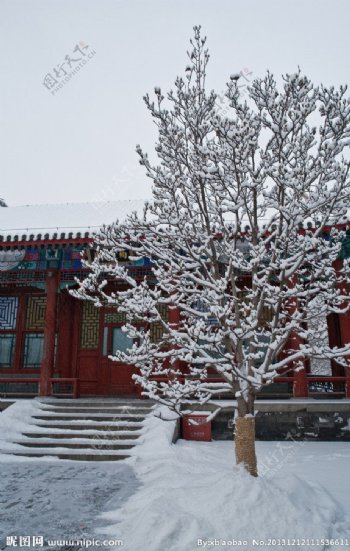 颐和园的雪图片