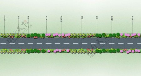 道路绿化标准段设计方案图片