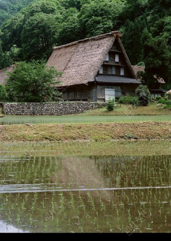 田边小屋图片