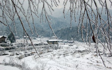 雪染乡村图片