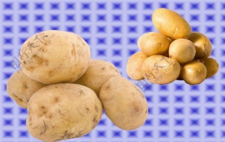 土豆组合图片