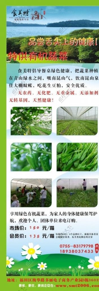 绿色蔬菜大棚图片