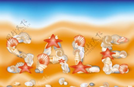 手绘沙滩海洋生物图片