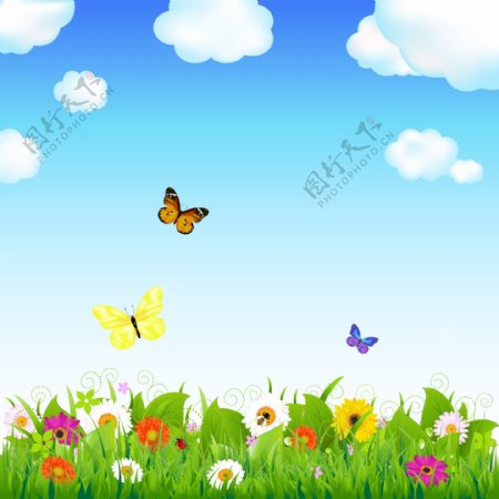 绿草鲜花蝴蝶春天背景图片
