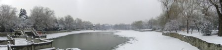 冬日里的公园全景图片