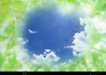 天空树叶水泡图片