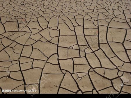 干旱土壤图片