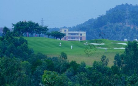 城市风景绿色高尔夫图片
