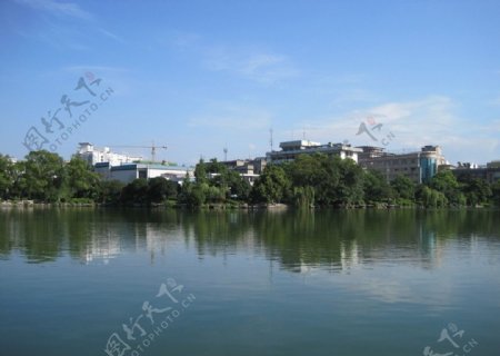 桂林榕湖景观图片