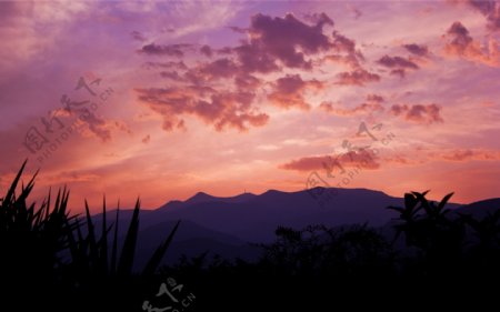黄昏中紫色云彩图片