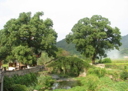 环溪村风景图片