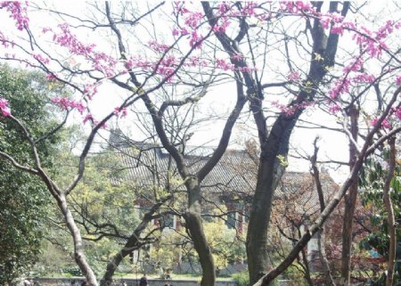 南京师范大学校园美景非高清图片